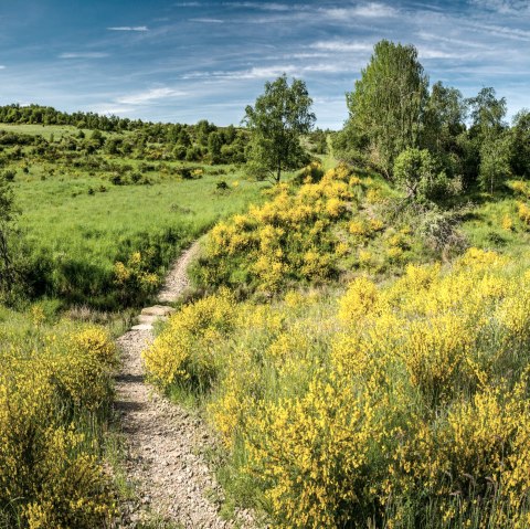 Dreiborner Hochfl&auml;che, &copy; Stadt Schleiden - Dominik Ketz