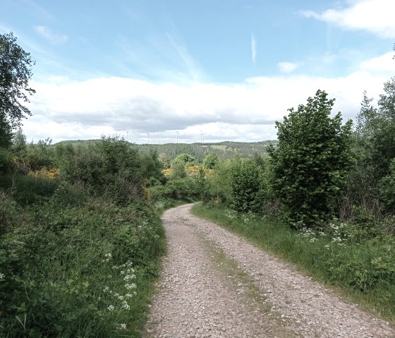 Wanderung, © Nationalpark Seelsorge