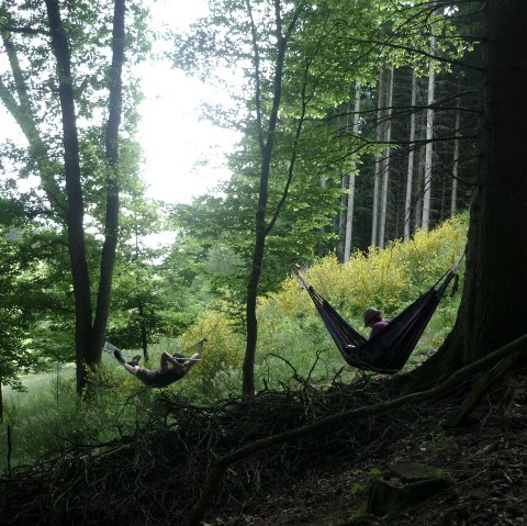 Wanderung, &copy; Nationalparkseelsorge Vogelsang