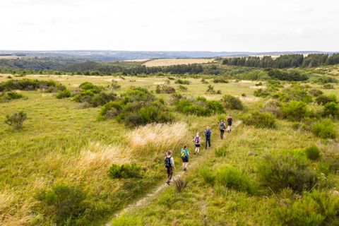 Eine Gruppe von Wanderern geht einen schmalen Pfad durch eine grüne Landschaft. Im Hintergrund erstrecken sich sanfte Hügel und Bäume.