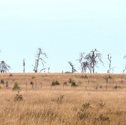 Wanderung Hohes Venn, &copy; Rainer Faymonville